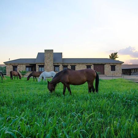 Casa Ecuestre Carmen Martinez Bed & Breakfast Fuente Palmera Ngoại thất bức ảnh